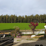 Photo n°3 de l'avis de Matteo.e fait le 31/10/2022 à 13:23 sur le  Ristorante Gasthof Irenberg à Pfalzen