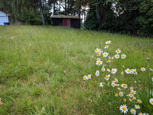 Park «Zumdieck Park», reviews and photos, 1500 108th Ave NE, Bellevue, WA 98004, USA
