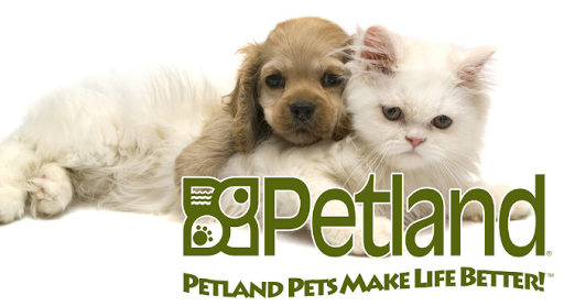 Pet Store «Petland Village of East Side», reviews and photos, 6401 Penn Ave, Pittsburgh, PA 15206, USA