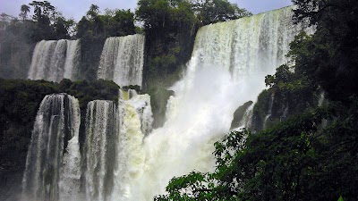 Photos of Luces de la Selva