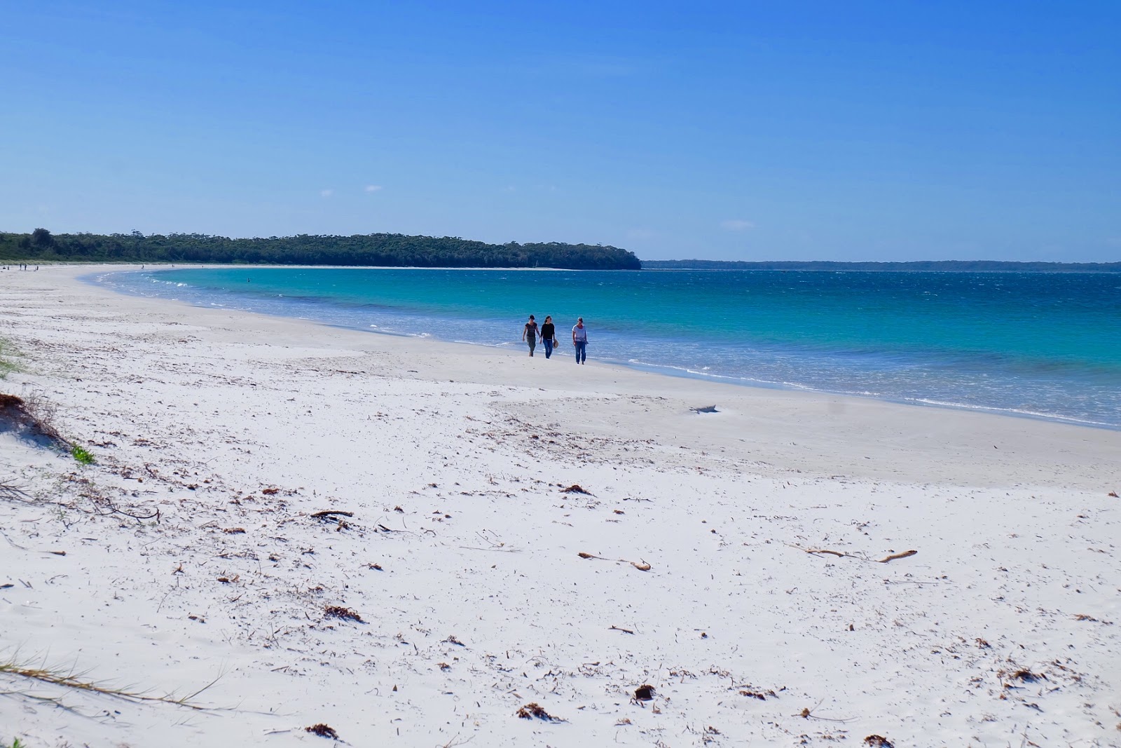 Foto di Callala Beach con una superficie del sabbia pura bianca
