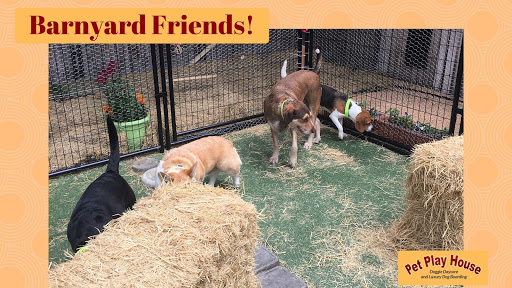 Pet Store «Pet Play House», reviews and photos, 2403 E 4th St, Reno, NV 89512, USA