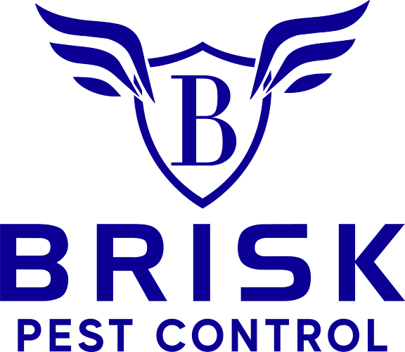 Brisk Pest Control - London