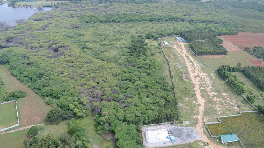 Google Maps image 19