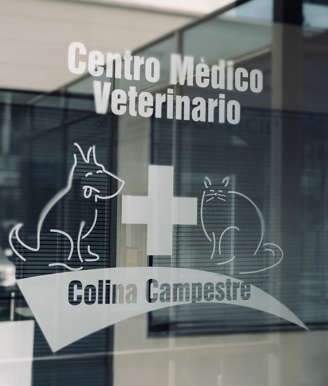 Veterinaria, Centro Médico Veterinario Colina Campestre