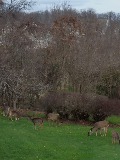 Park «Rockburn Branch Park», reviews and photos, 6105 Rockburn Branch Park Rd, Elkridge, MD 21075, USA