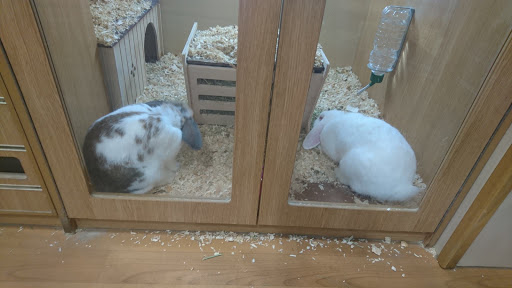 Pets at Home Bradford