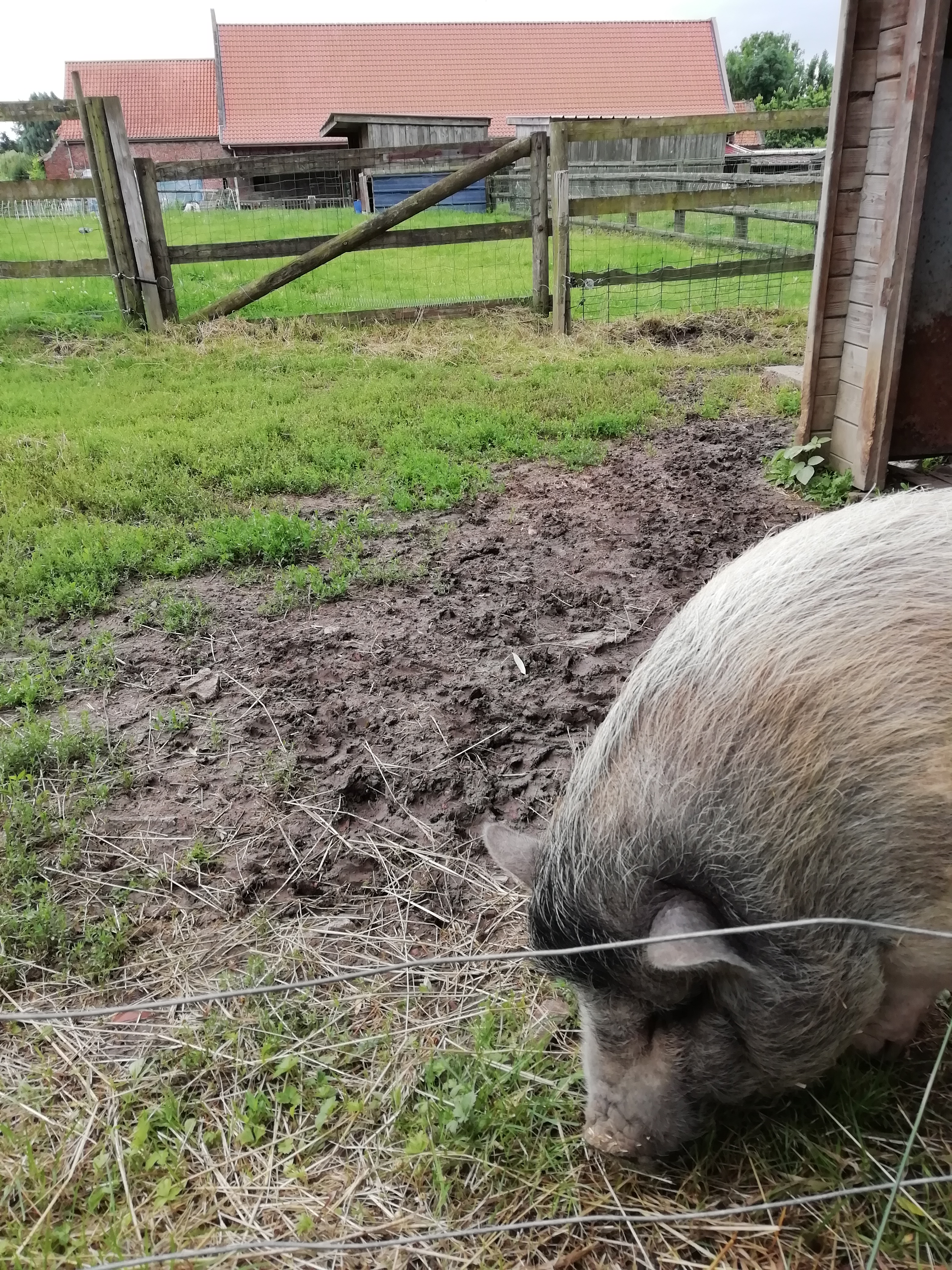 Photo n° 1 de l'avis de Odile.e fait le 06/07/2021 à 19:52