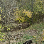 Photo n°4 de l'avis de Luana.a fait le 13/11/2021 à 14:55 sur le  Ristorante Sole à Zelbio