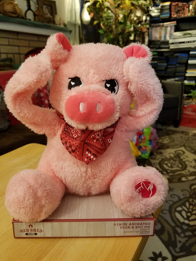 Home Improvement Store «Tractor Supply Co.», reviews and photos, 1701 US-377, Roanoke, TX 76262, USA