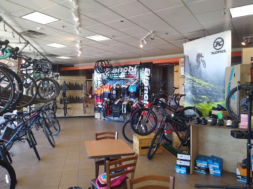 Bicycle Rental Service «Trailhead Bike Cafe», reviews and photos, 6825 N 16th St, Phoenix, AZ 85014, USA