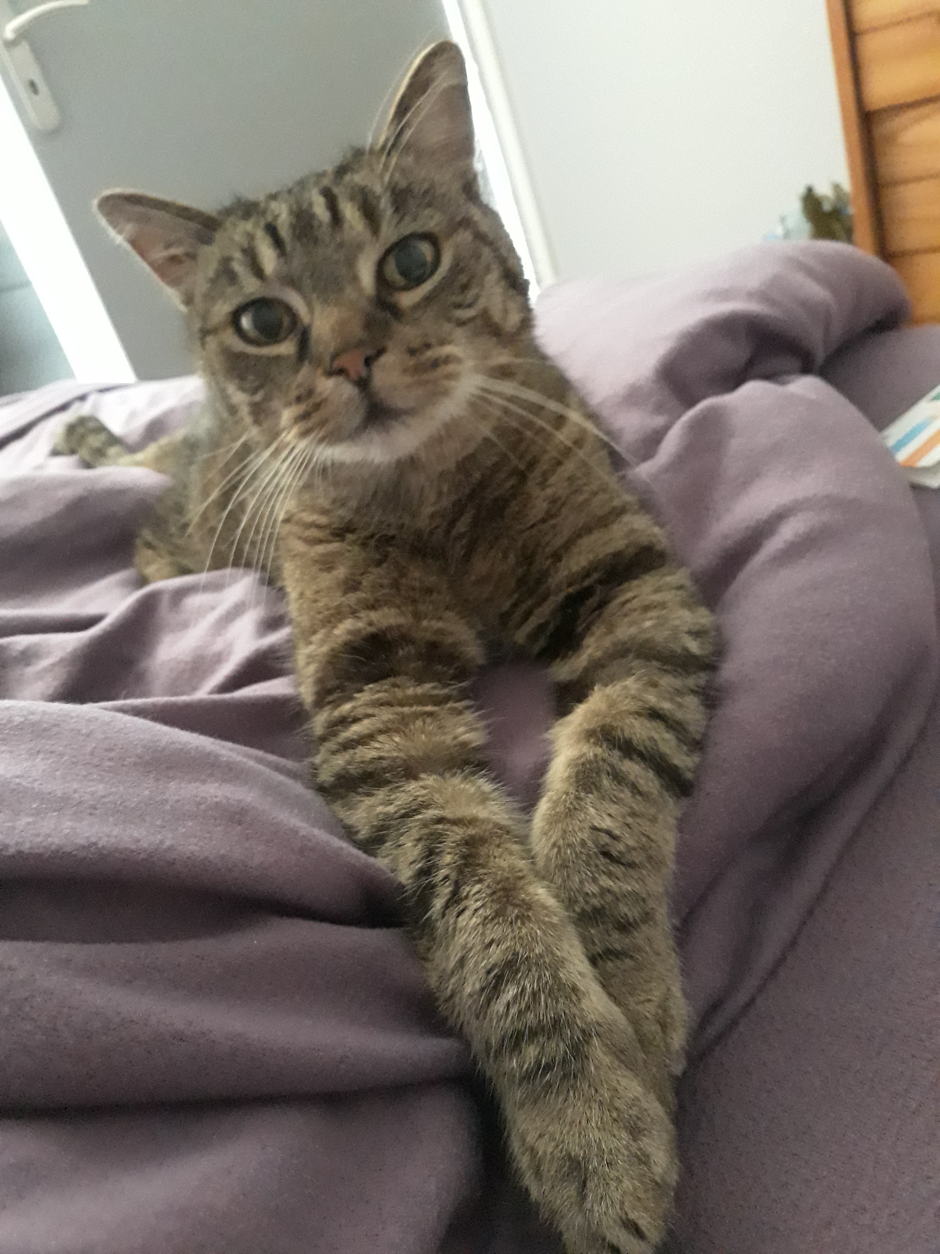 Photo n° 1 de l'avis de Elsa.� fait le 13/05/2018 à 23:47