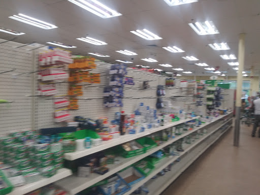 Dollar Store «Dollar Tree», reviews and photos, 299 Cottage Grove Rd, Bloomfield, CT 06002, USA