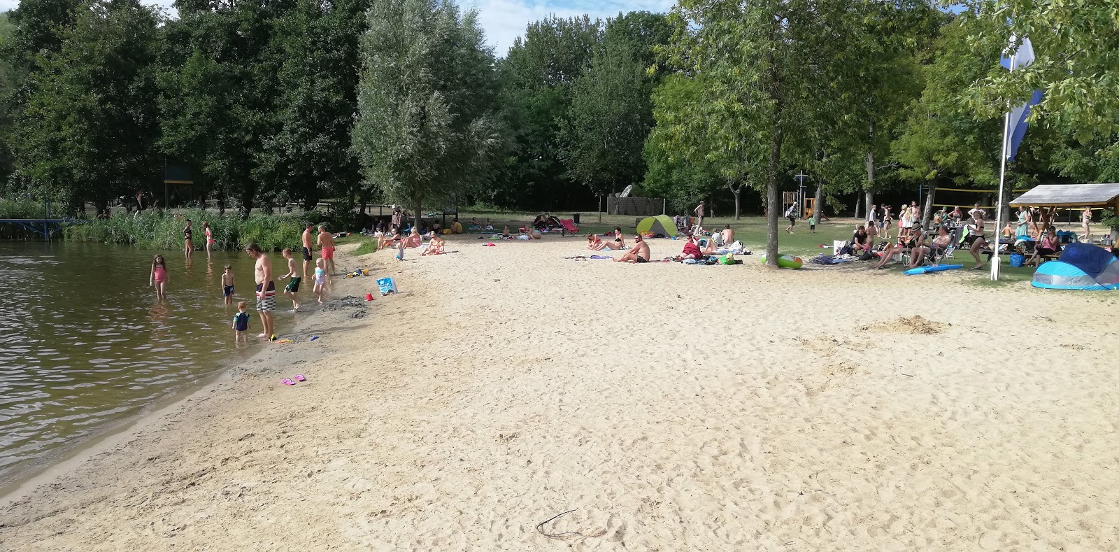 Ketziner Havelstrand'in fotoğrafı doğrudan plaj ile birlikte