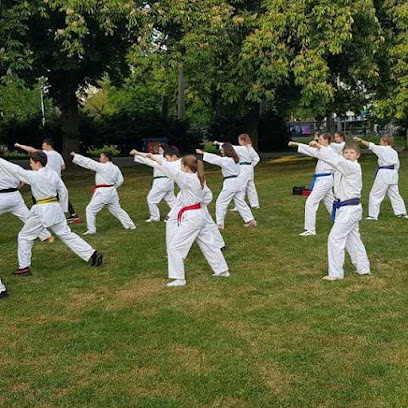 Taekwondo-Schule Schweiz