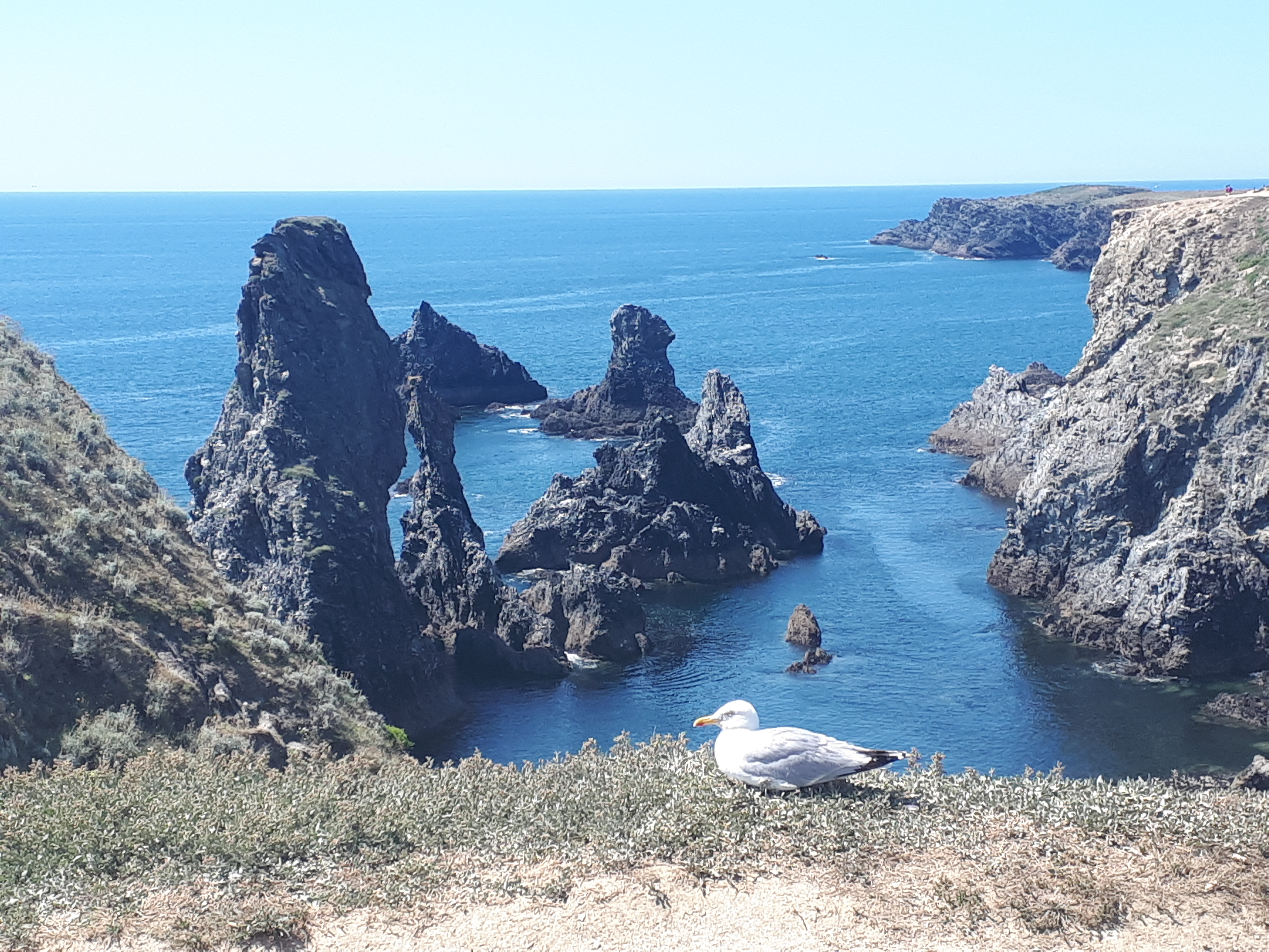 Photo n° 4 de l'avis de Thomas.i fait le 14/08/2018 à 22:02