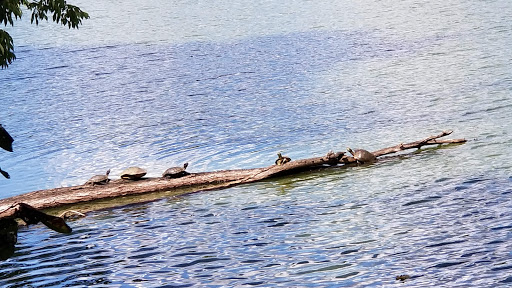 State Park «Radnor Lake State Park», reviews and photos, 1160 Otter Creek Rd, Nashville, TN 37220, USA