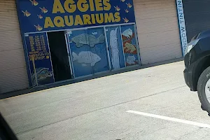 Aggies Aquariums image