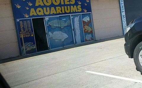 Aggies Aquariums image