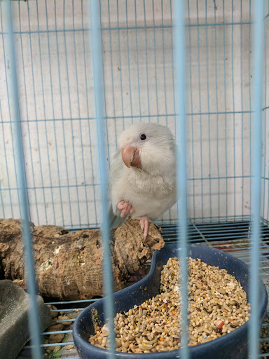 Pet Store «Zookeeper Exotics», reviews and photos, 9012 Research Blvd, Austin, TX 78758, USA