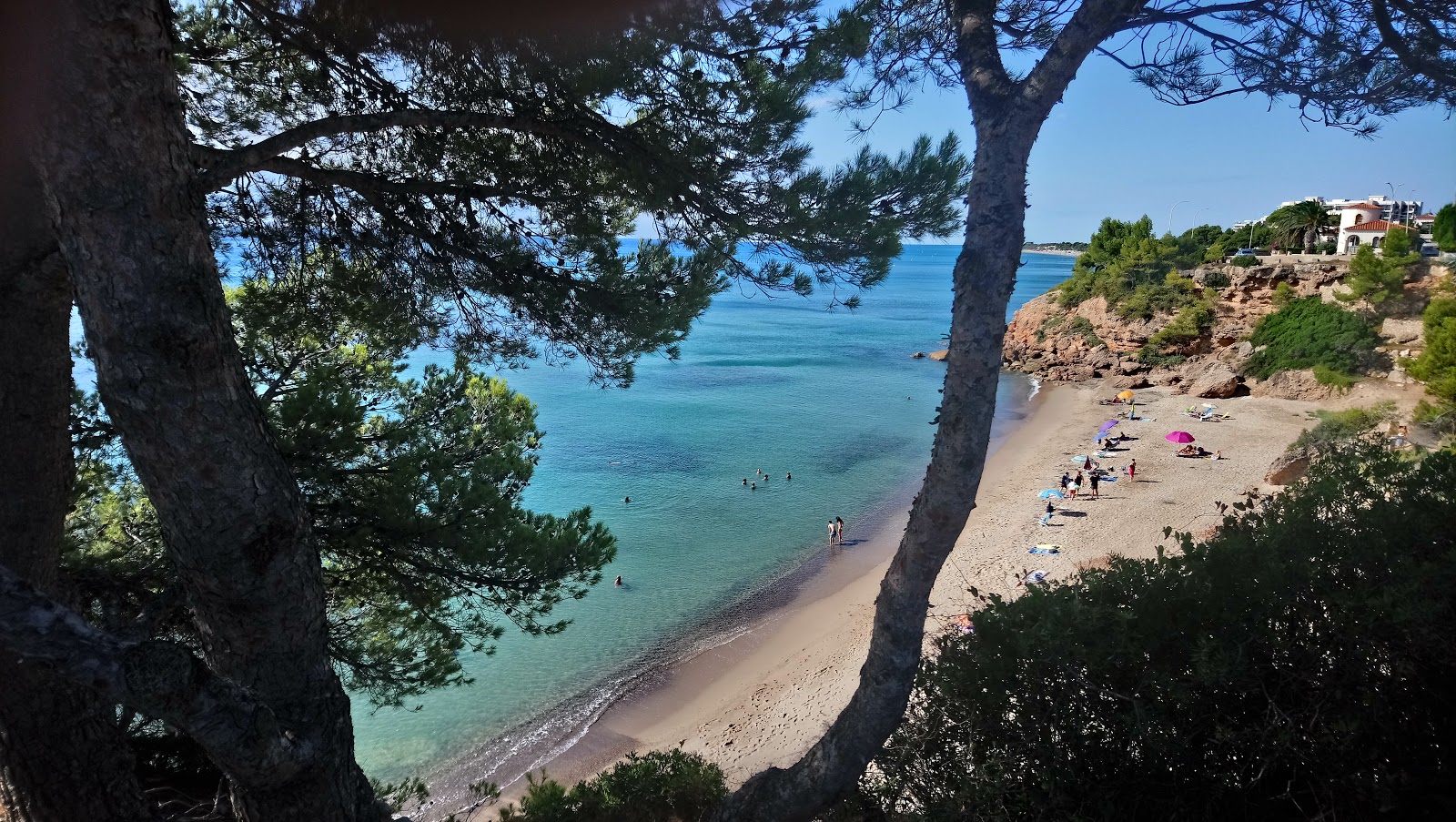 Foto di Cala Del Solitari con una superficie del sabbia beige