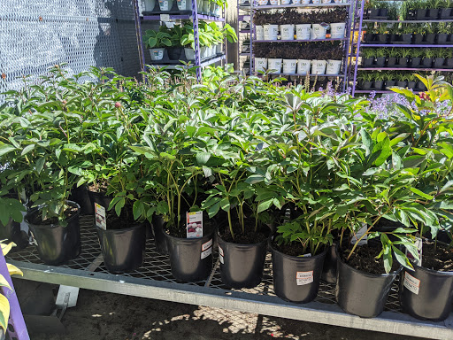 Home Improvement Store «The Home Depot», reviews and photos, 782 PA-113, Souderton, PA 18964, USA