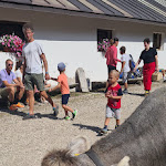 Photo n°4 de l'avis de Marco.i fait le 25/08/2023 à 17:28 sur le  Malga Jumela à Pozza di Fassa