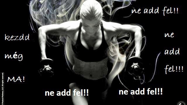 Fresh Női Fitness - Edzőterem