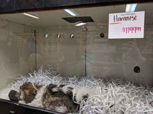 Pet Store «Pet Planet», reviews and photos, 11968 S Redwood Rd, Riverton, UT 84065, USA