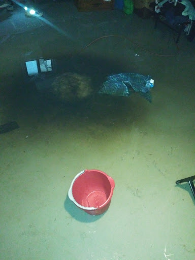 Plumber «Roto-Rooter Plumbing & Drain Services», reviews and photos, 1234 Hanley Industrial Ct, Brentwood, MO 63144, USA