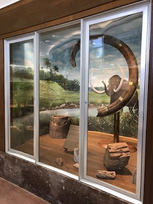 Louisiana State Exhibit Museum - photo 90
