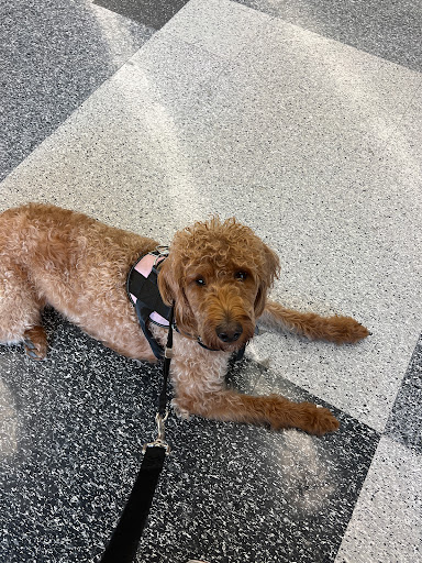 Pet Supply Store «Petco Animal Supplies», reviews and photos, 179 N Milwaukee St, Boise, ID 83704, USA