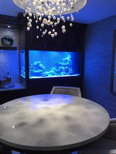 Pet Store «Tanks A Lot Aquariums», reviews and photos, 6680 Lantana Rd, Lake Worth, FL 33467, USA