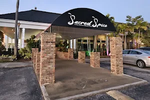 Sacred Spice Tampa Bay Indian Restaurant (aka Deccan Spice Tampa Bay) image