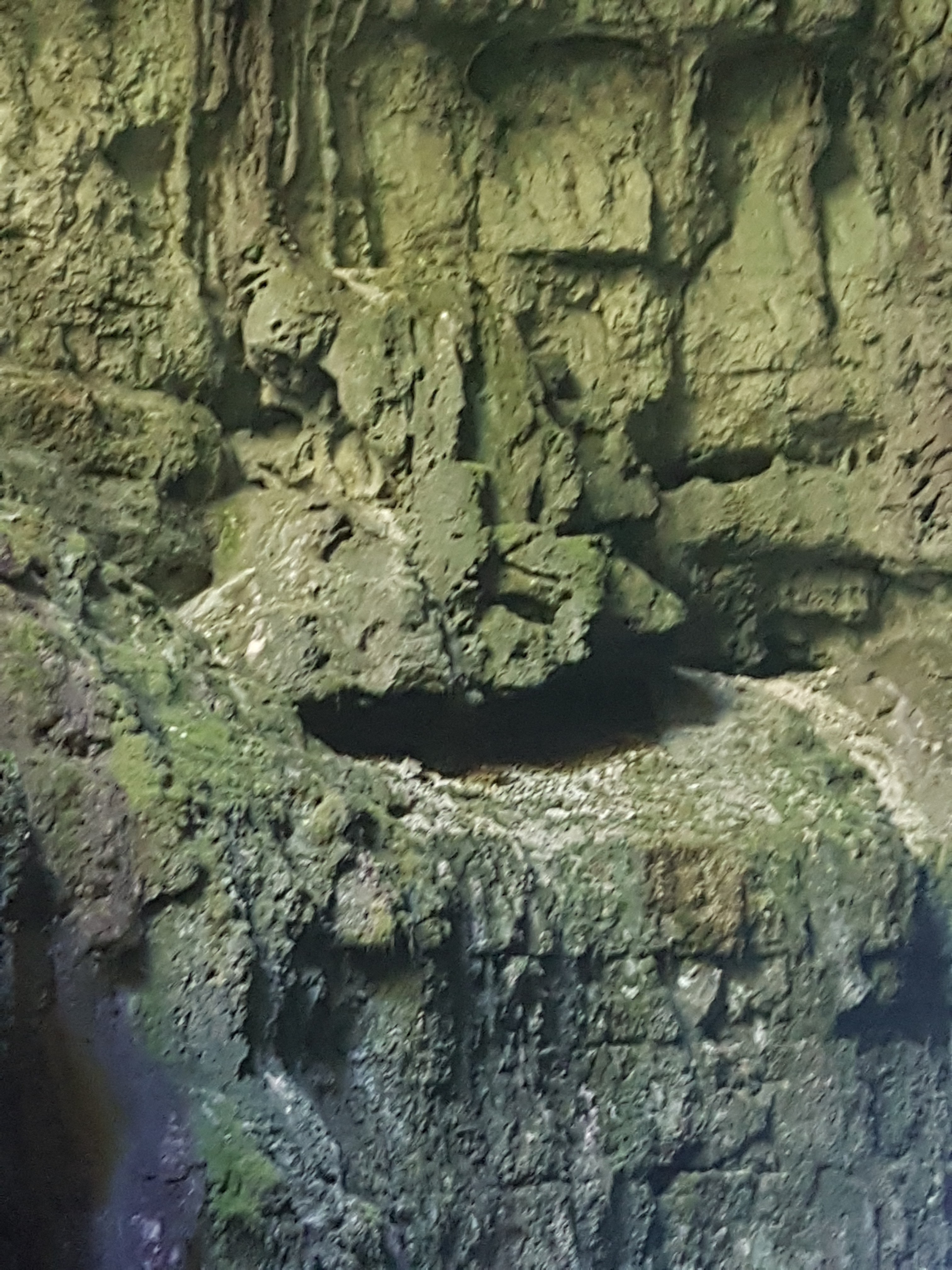 Photo n° 7 de l'avis de Nicole.i fait le 12/08/2018 à 13:49