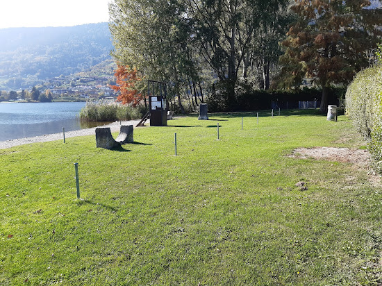 Dog Beach San Cristoforo