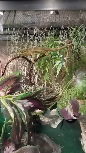 Pet Supply Store «Saluda River Pet Food Center», reviews and photos, 5606 Calhoun Memorial Hwy, Easley, SC 29640, USA