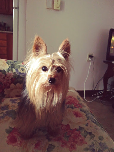 Pet Supply Store «Petco Animal Supplies», reviews and photos, 816 Washington St, Middletown, CT 06457, USA