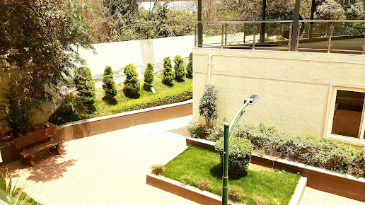 Google Maps image 17