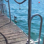 Photo n°6 de l'avis de Christine.a fait le 07/04/2024 à 21:03 sur le  Barracuda à Sirmione