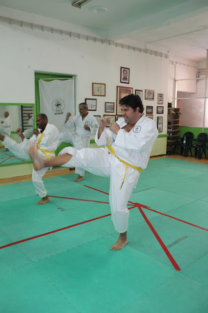 AGOKAP - Associação Goju-Ryu Karate-Do de Portugal