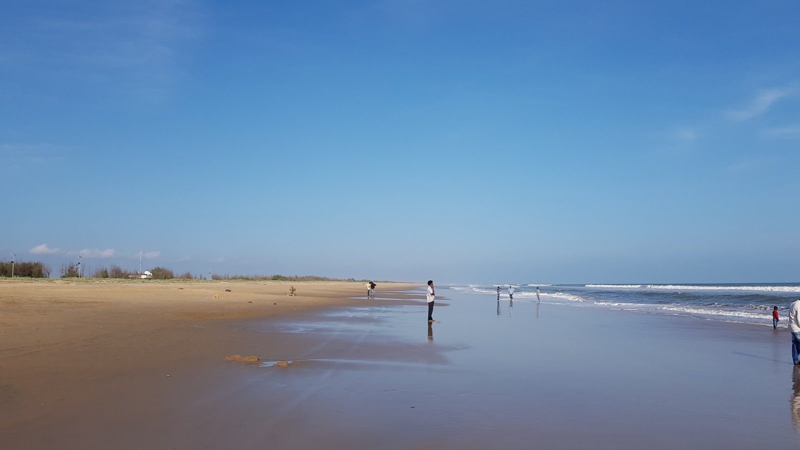 Surasani Yanam Beach'in fotoğrafı vahşi alan