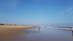 Surasani Yanam Beach'in fotoğrafı vahşi alan