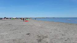 Plage de Beauduc'in fotoğrafı vahşi alan