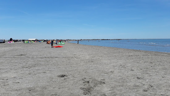 Plage de Beauduc