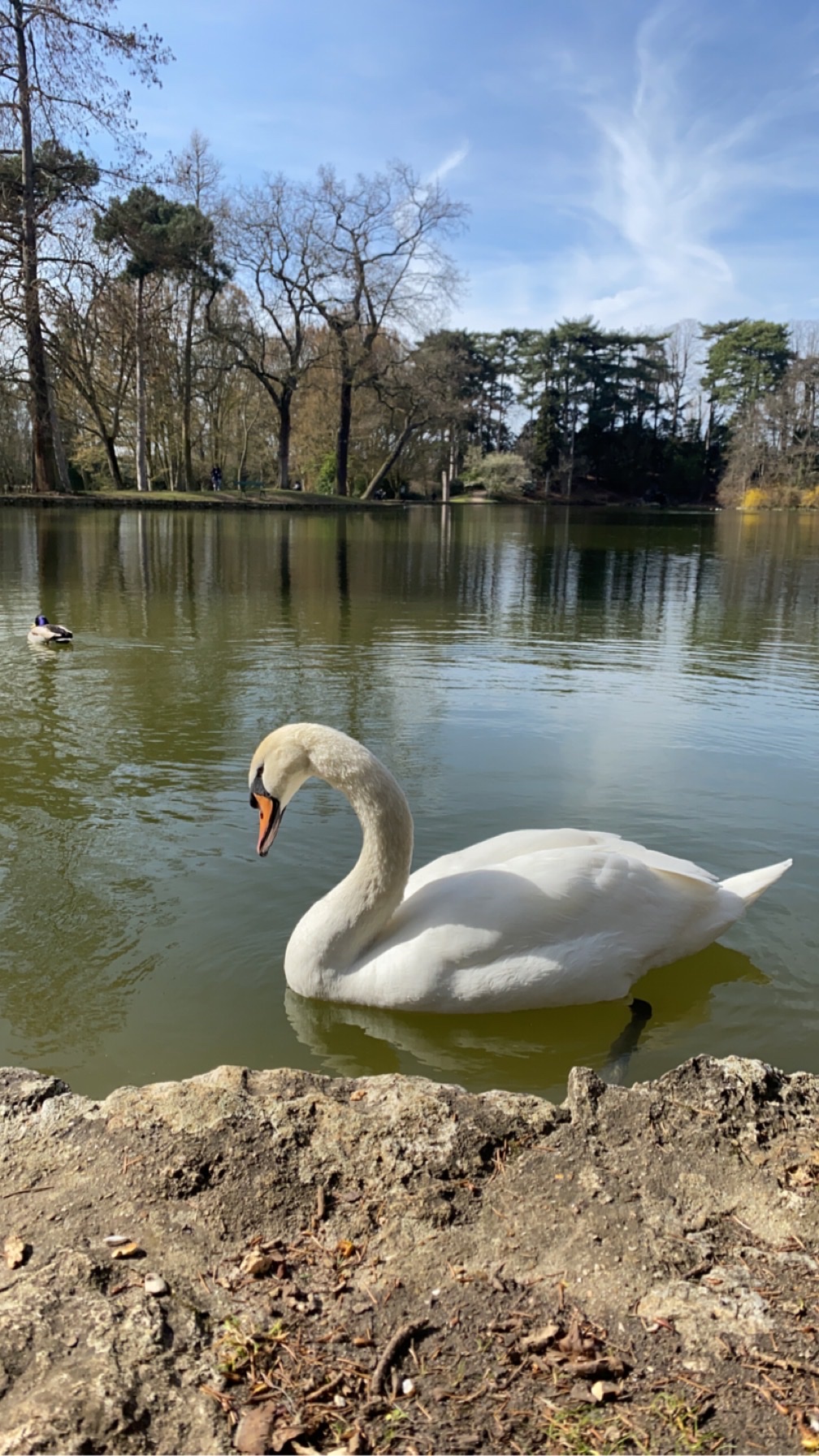 Photo n° 3 de l'avis de Ghadeer.a fait le 16/03/2023 à 19:22