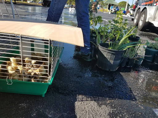 Home Improvement Store «Tractor Supply Co.», reviews and photos, 4888 Okeechobee Rd, Fort Pierce, FL 34947, USA