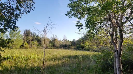 Community Center «Volunteer Park Community Center», reviews and photos, 12050 W Sunrise Blvd, Plantation, FL 33323, USA