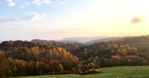 Winery «Tenba Ridge Winery», reviews and photos, N27587 Joe Coulee Rd, Blair, WI 54616, USA