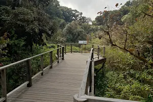 Ang Ka Nature Trail image